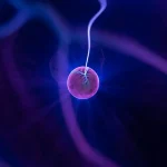 Scientists Found Hidden Patterns in Dusty Plasmas with AI