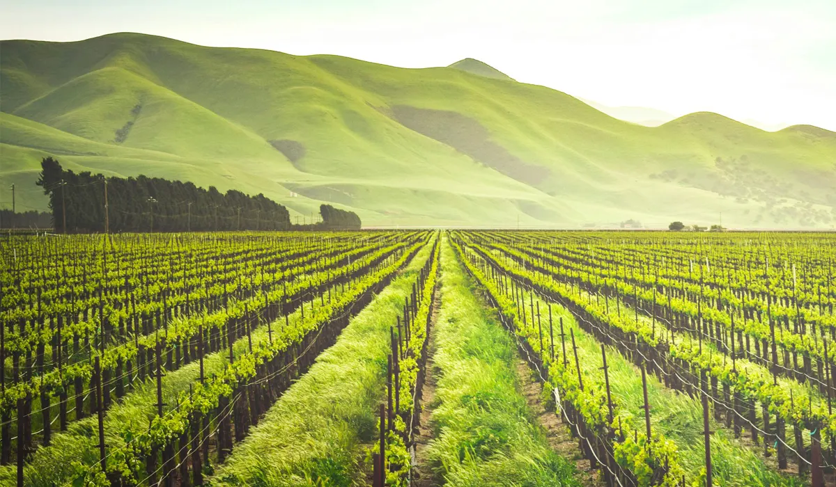 New Study Shows Blockchain Boosts Intelligent Agriculture Security