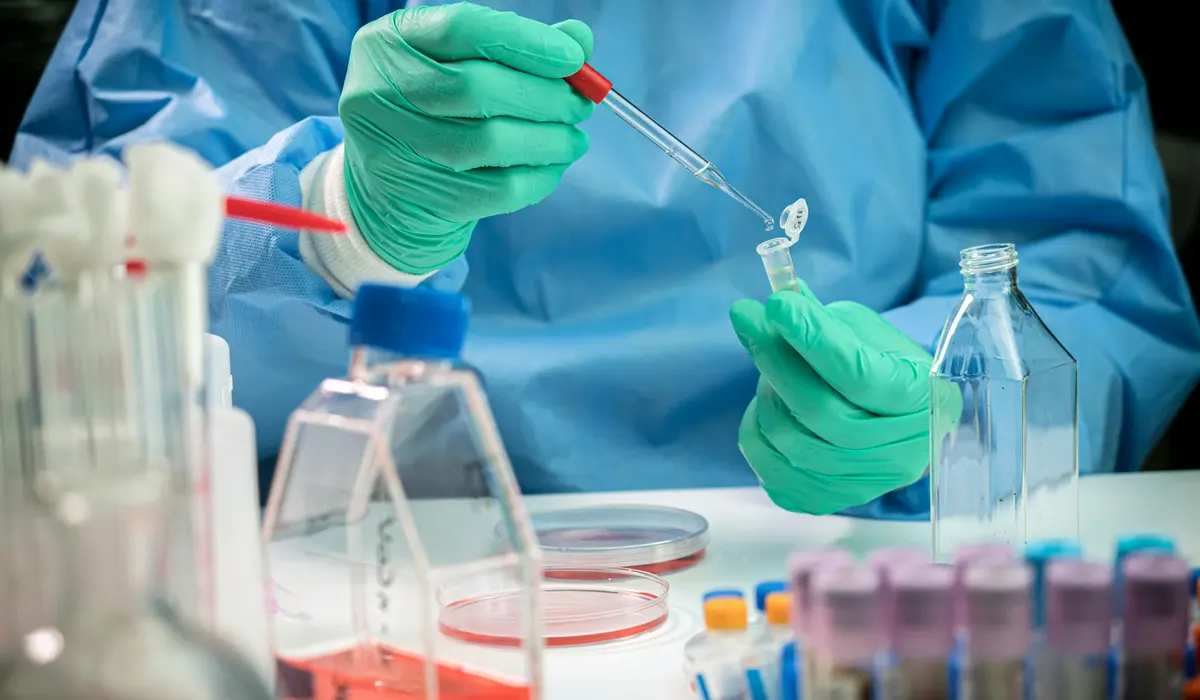 Scientists Rush Experimental Antivirals to EU as Hantavirus Cases Rise