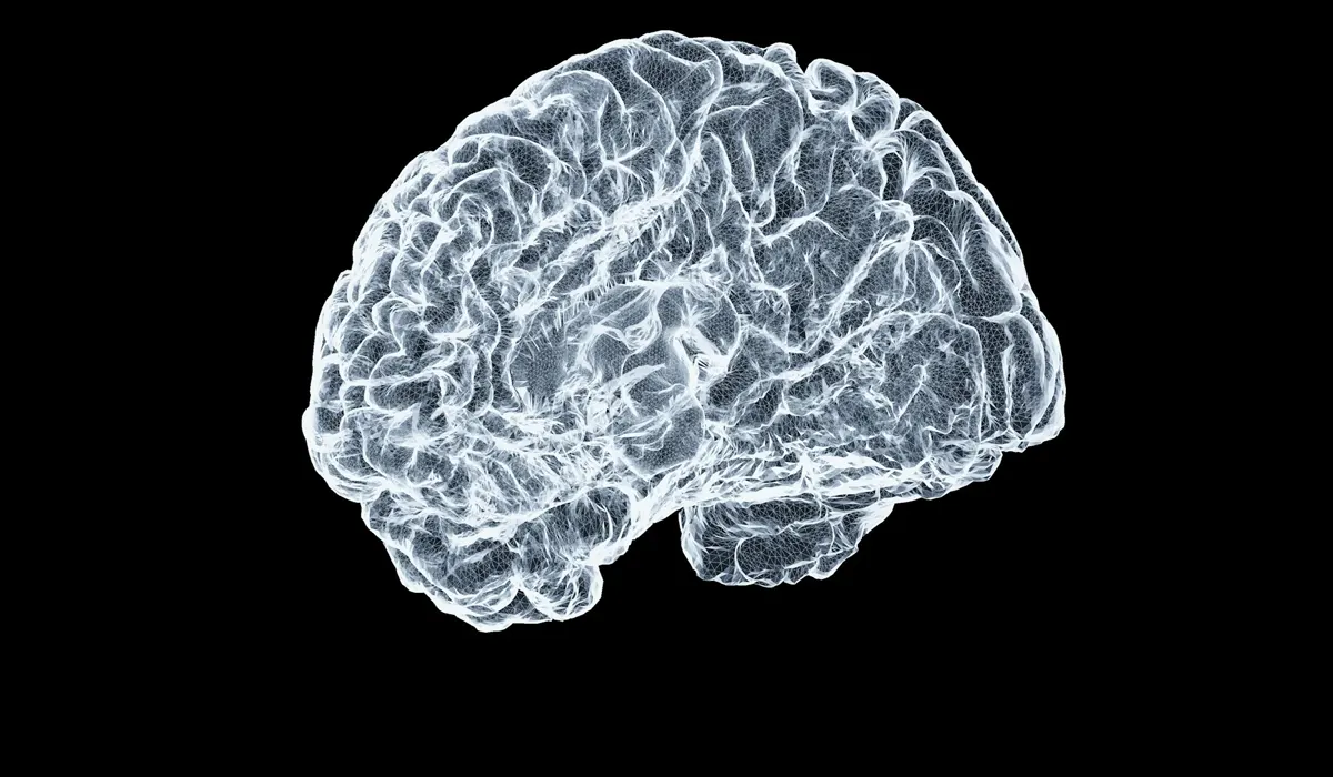 Scientists Found a New Way to Remove Brain Tumours Through the Eye