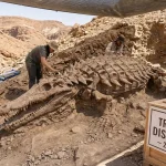 Scientists Found a Crocodile Cousin Hidden for 210 Million Years